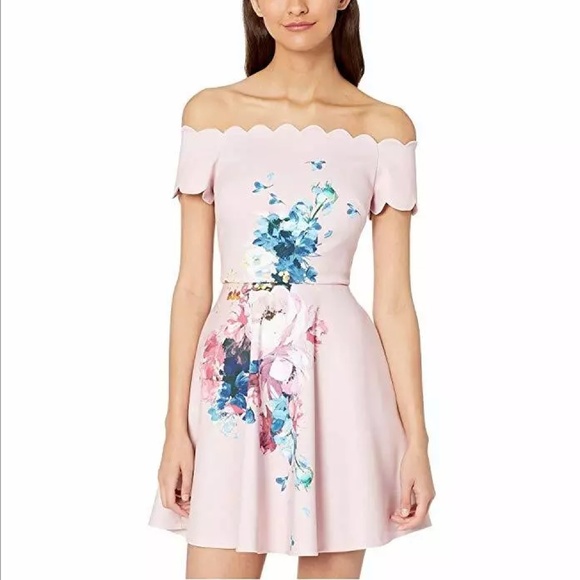 Ted Baker Sirenta Bardot Skater Dress Pink Floral - Picture 1 of 8